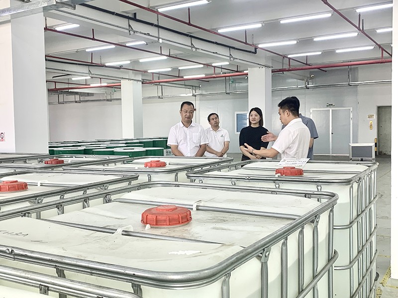 政企连心·共促发展|东莞市东城区政府领导莅临太阳集团城新材参观指导
